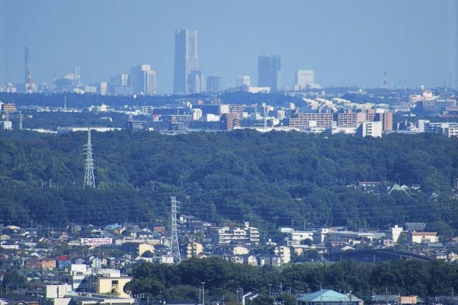 山王社からの眺め