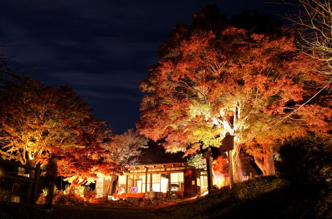 緑水庵の紅葉の写真