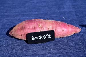 紅あづまの写真