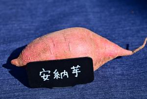 安納芋の写真