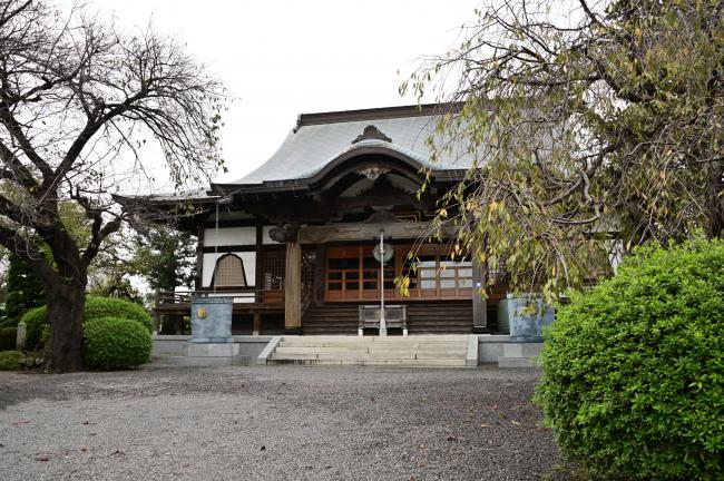妙純寺の写真