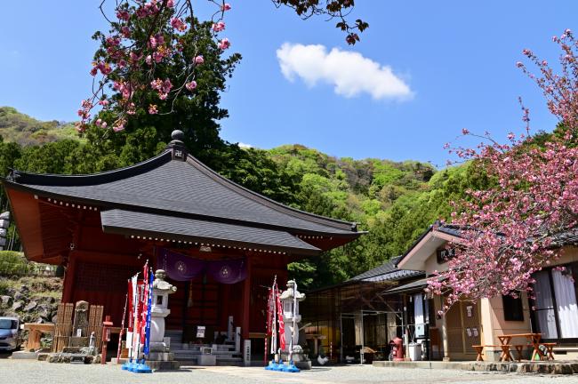観音寺の写真