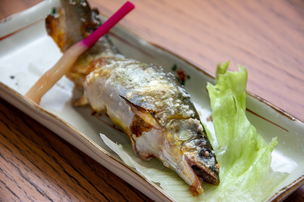 厚木シロホルモンおひさまの写真