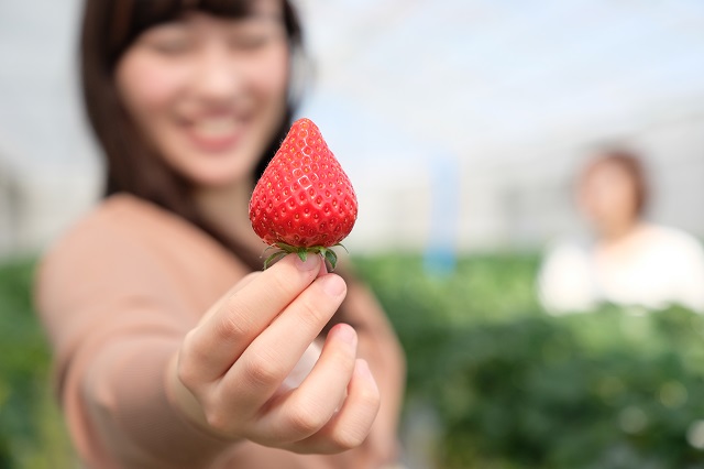イチゴ