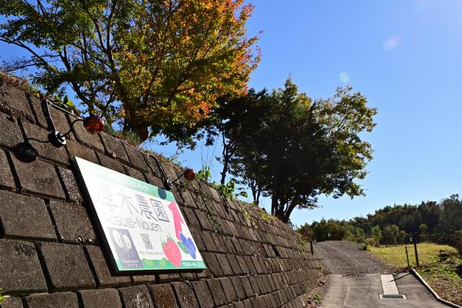 厚木農園