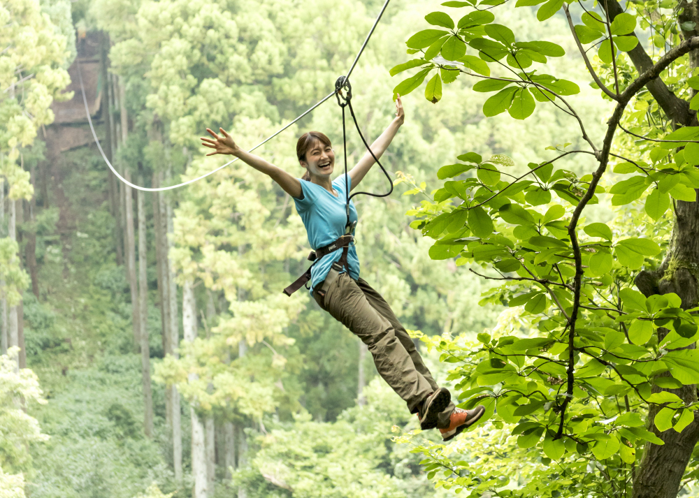 ツリークロスアドベンチャーの写真