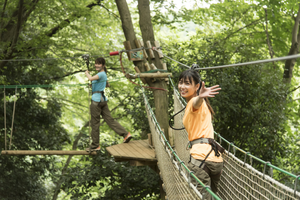 ツリークロスアドベンチャーの写真