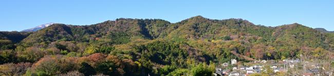 飯山白山森林公園の全景写真