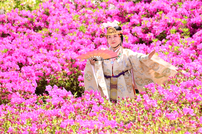 春・ツツジ[？？]あつぎつつじの丘公園での写真