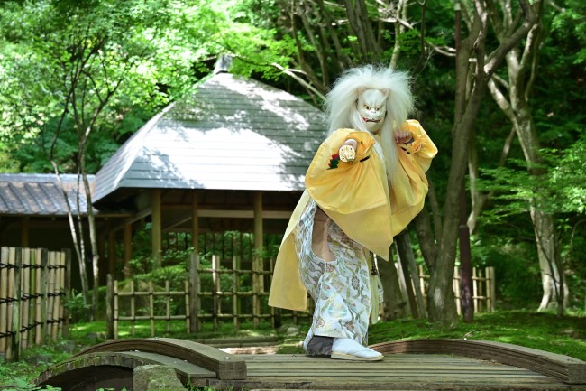 夏・新緑[天狐]県立七沢森林公園での写真