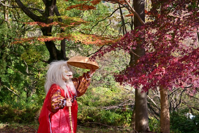 秋・紅葉[天狐]飯山白山森林公園での写真
