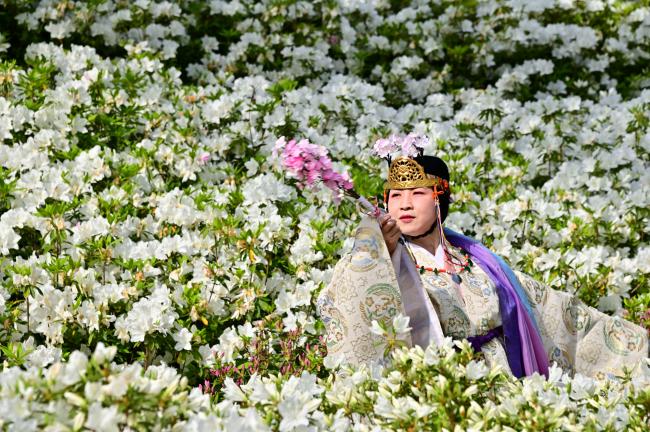 春・ツツジ[？？]あつぎつつじの丘公園での写真