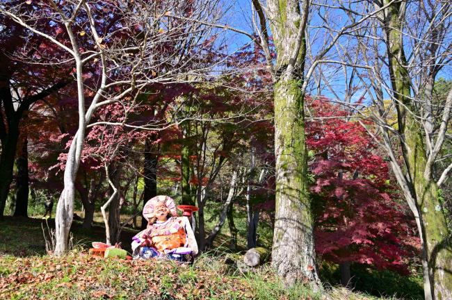 秋・紅葉[？？]飯山白山森林公園での写真