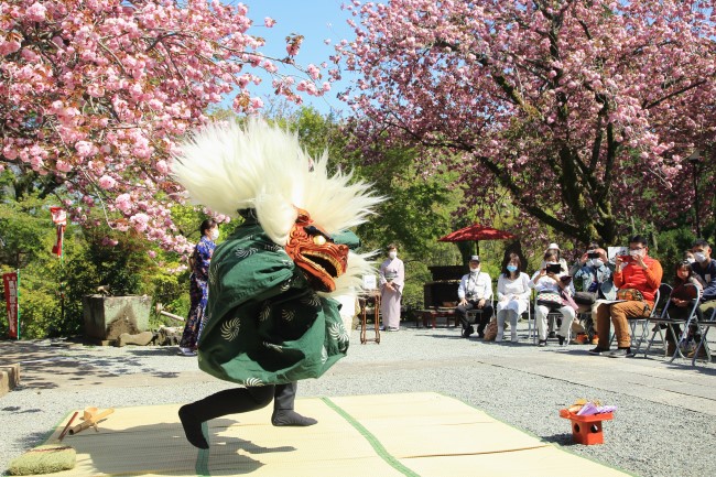 相模里神楽の写真