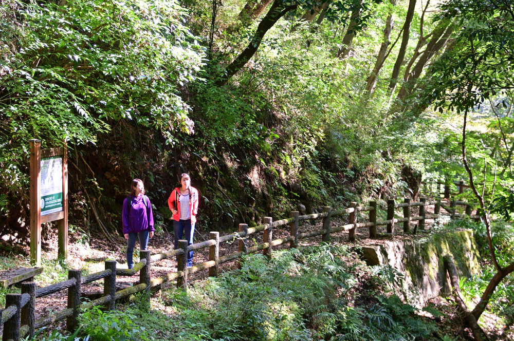 白山ハイキングコースの写真