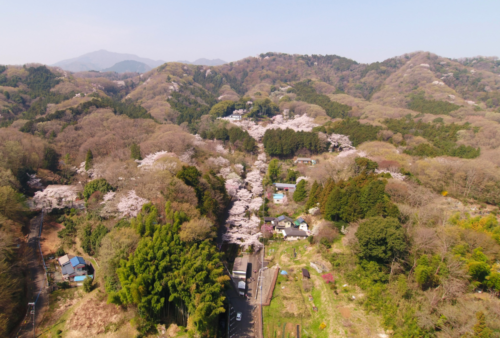 飯山白山森林公園の写真