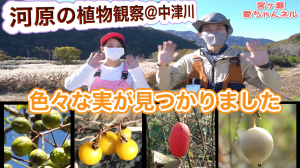 サムネイル4