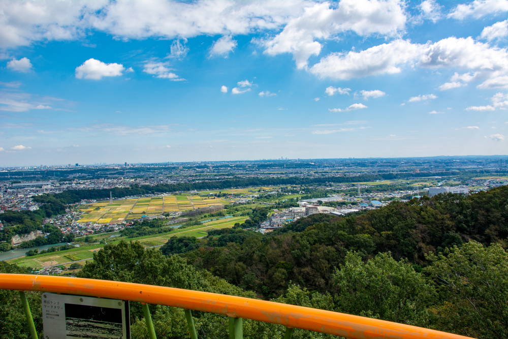 鳶尾山ハイキングコースの写真