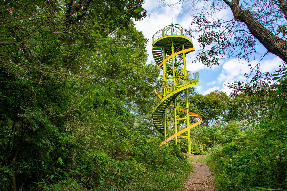 鳶尾山ハイキングコースの写真