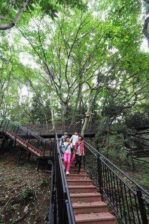 あつぎこどもの森公園の写真