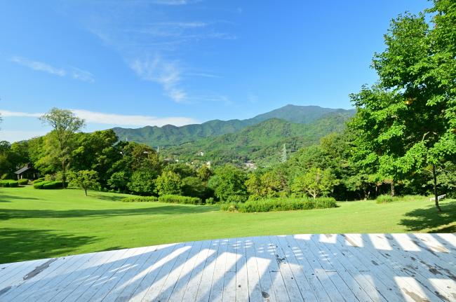 県立七沢森林公園の写真