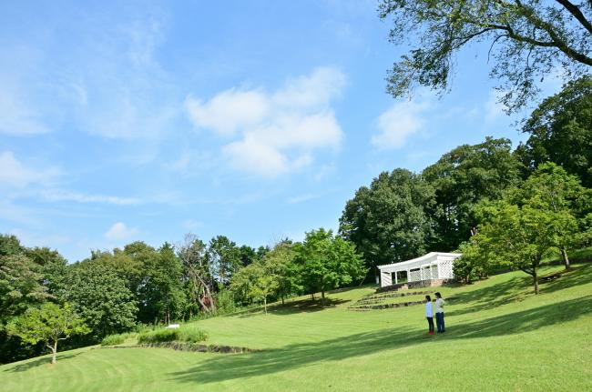 県立七沢森林公園の写真