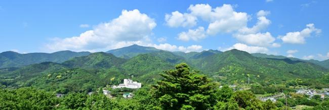 県立七沢森林公園の写真