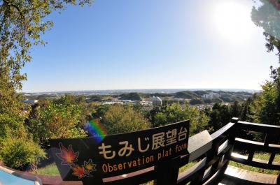 県立七沢森林公園の写真