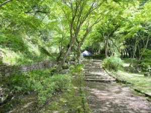 県立七沢森林公園寸草亭付近スマホ台からの写真