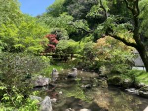 県立七沢森林公園寸草亭付近の池スマホ台からの写真