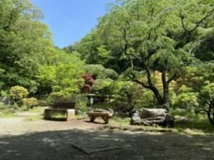 県立七沢森林公園寸草亭付近の池スマホ台の写真