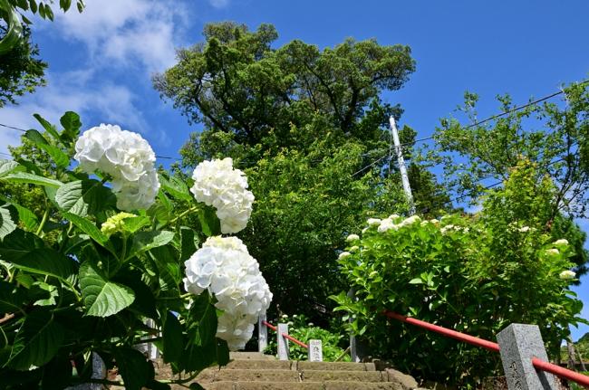 飯山観音長谷寺の写真