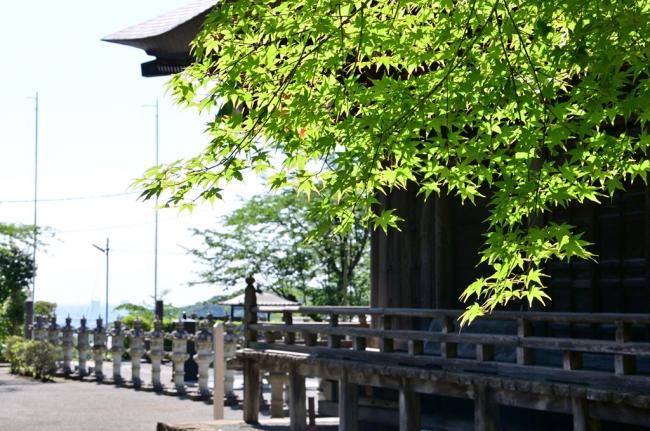 飯山観音長谷寺の写真