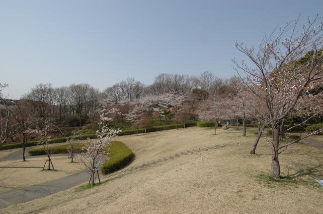 若宮公園の写真
