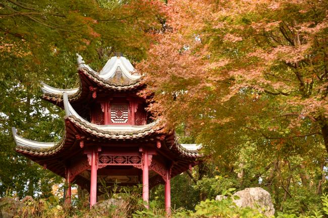 若宮公園の写真