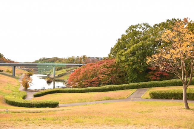 若宮公園の写真