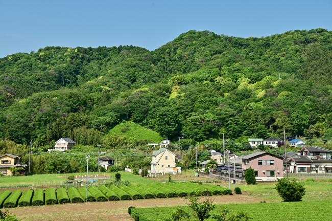 新緑の飯山白山森林公園の写真