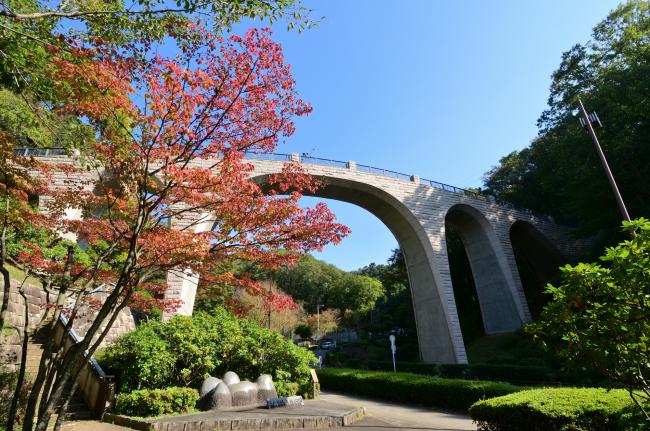 七沢森林公園森のかけはしと紅葉の写真