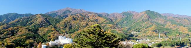 鐘ヶ嶽や大山の紅葉の写真
