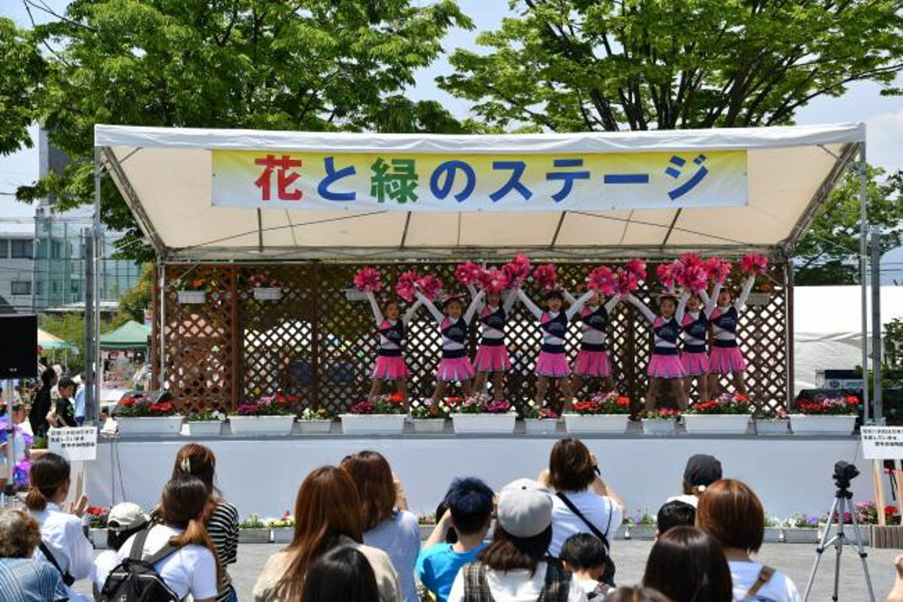 緑のまつりの写真