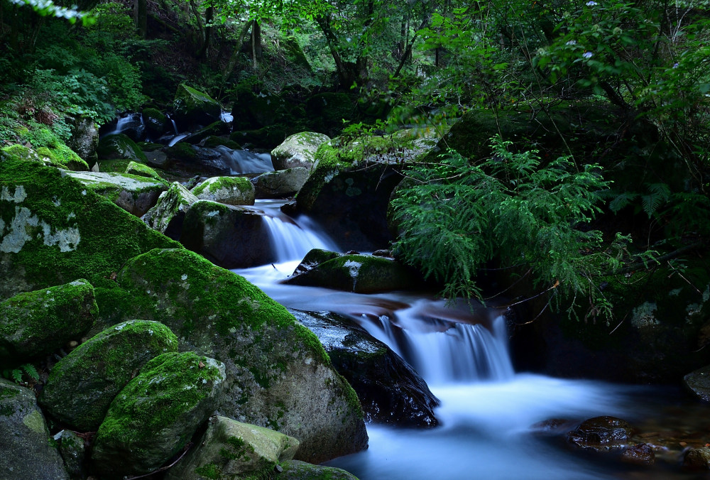 不動尻渓谷の写真