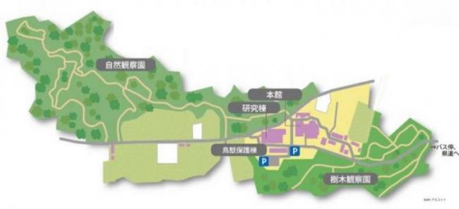 自然環境保全センターの園内マップ