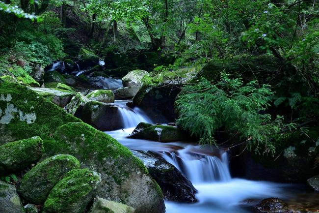 不動尻渓谷の写真