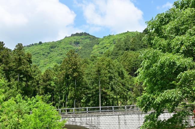 二の足林道沿いの風景の写真