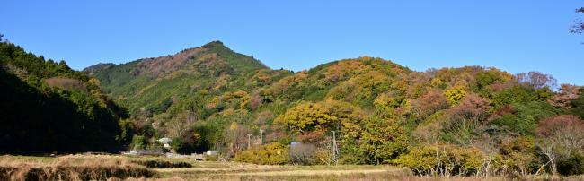 鐘ヶ嶽の紅葉の写真