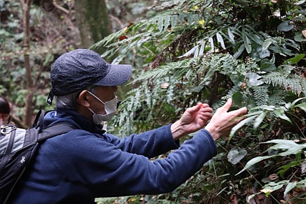 森林セラピーの写真