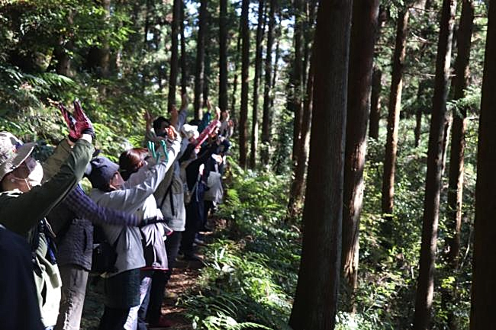 森林セラピーの写真