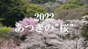 YouTube動画へのリンク