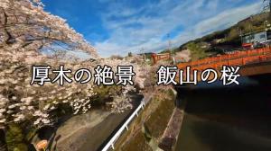 YouTube動画へのリンク