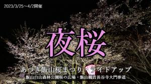 あつぎ飯山桜まつりライトアップ